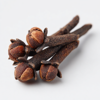 Clove