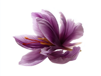 Saffron